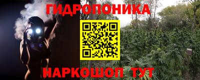 ГАЛЛЮЦИНОГЕННЫЕ ГРИБЫ Ликино-Дулёво