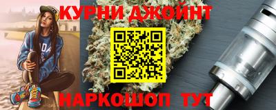 шишки Надым