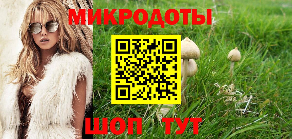 Ростов Великий  Псилоцибиновые грибы Cubensis  Вход с VPN 