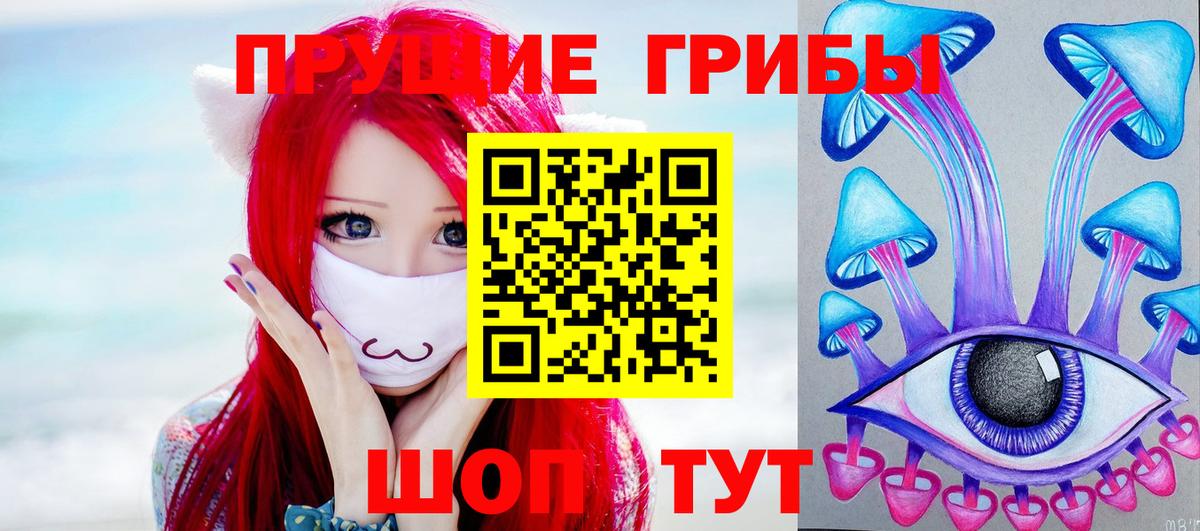 Галлюциногенные грибы Psilocybe Ростов Великий